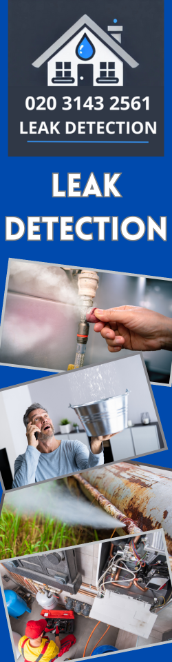 Peckham Leak Detection