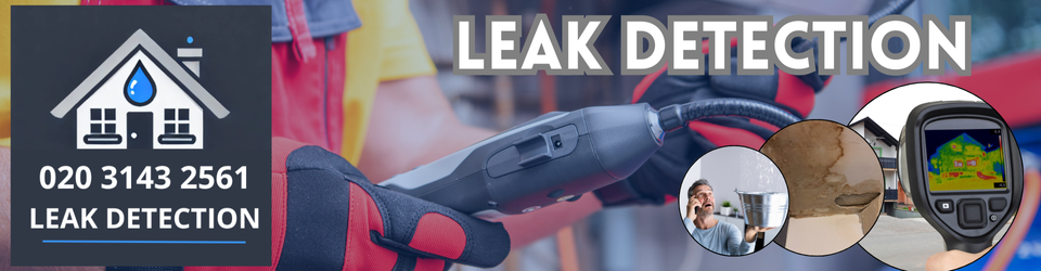 Peckham Leak Detection