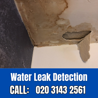 Expert Water Leak Detection Services in Peckham | Peckham Leak Detection